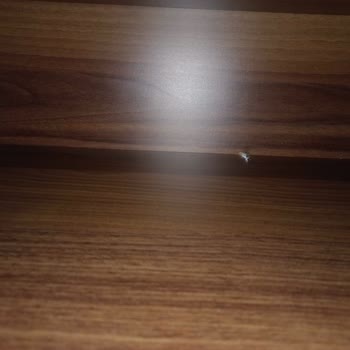 Enza Home Netha Koltuk Takimi Arızalı