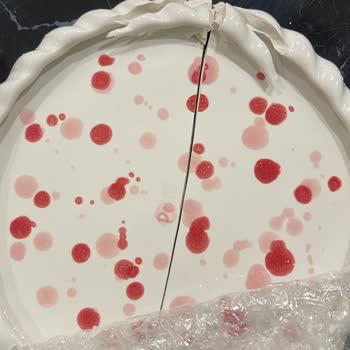 Petraseramik Kaba Üslup Ve Yapılmayan Para İadesi