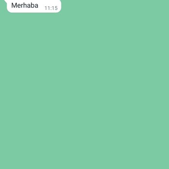 WhatsApp Numaramı Paylaşıyor