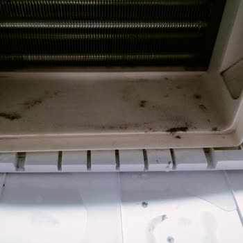 Vestel Kurutma Makinesi Alt Filtresinin Olduğu Yerden Su Akıtıyor