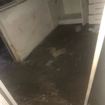 UEDAŞ Su Borusunu Patlattı
