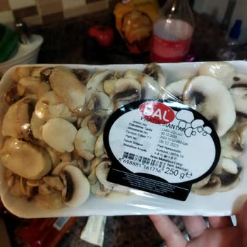 Getir Bozuk Gelen Ve Hala Değişim Sağlanmayan Mantar