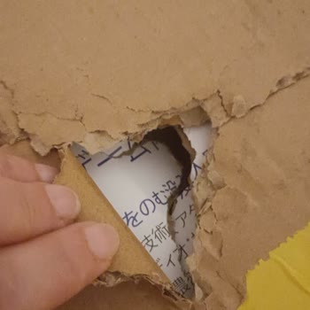 Aras Kargo Yırtık Koliyi Elime Tutuşturup Resmen Koşarak Binadan Kaçtı