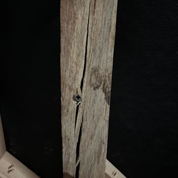 Mesut Göktan Mobilya Koltuk Ve Diğer Mobilyalar