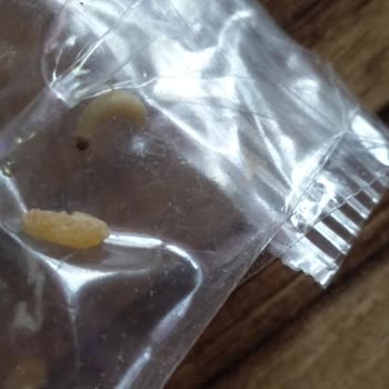 Migros Duru Bulgurda Kurt