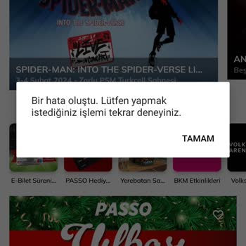 Passolig'e Giriş Yapamıyorum