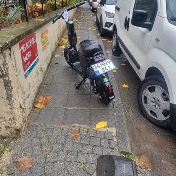 Martı Tag Kaldırım Parkları