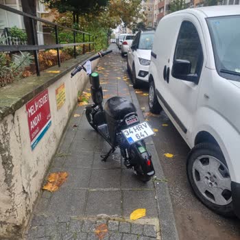 Martı Tag Kaldırım Parkları