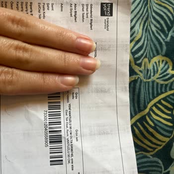 FoldyCat Vantuzlu Kedi Oltası