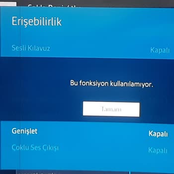 Samsung TV Sesli Kılavuzu Kullanamıyorum