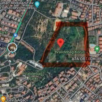 Üsküdar Belediyesi Validebağ Sahipsiz Köpeklerin Saldırısı