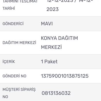 Mavi Geç Gönderilen Kargolar