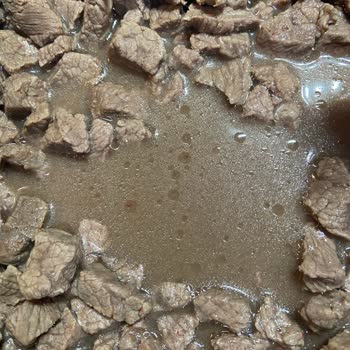 Migros'un Etinden Plastik Parçalar Çıktı