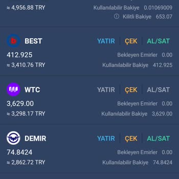 Wtc Coin Bitexen Çekim İşlemi