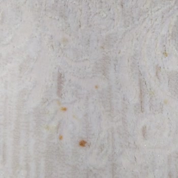 Oksijen Halı Yıkama Halı Yıkama Mağduriyeti