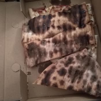 Usta Pideci'den Sipariş Ettiğimiz Pideler Yanıktı, Yiyemedik!