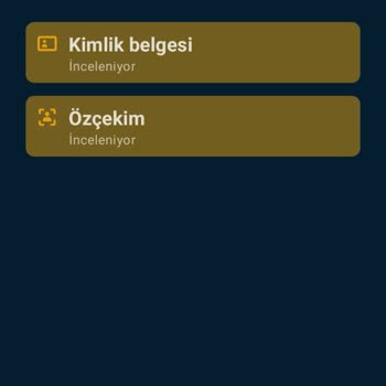 Stormgain Kimlik Doğrulama Sorunu