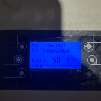 Arı Kazan Kazan Derecesi Yükselmiyor