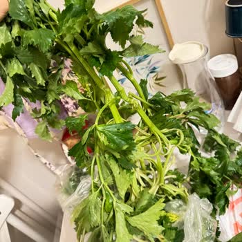 Migros Ürün Kalitesi Ve Yanlış Ürün Gönderimi