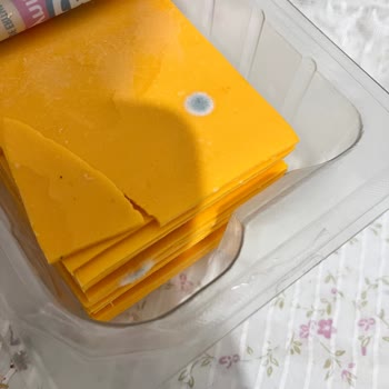 Pınar Küflenmeye Yön Tutmuş Peynir