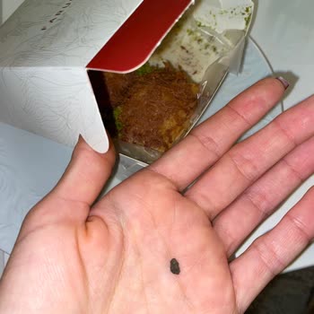 Faruk Güllüoğlu Baklavadan Taş Ve Odun Parçası Çıkması!