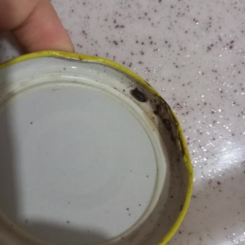 Şok Marketler Vatan Turşu İçinde Böcek Çıktı