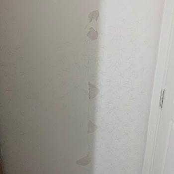 DASK'a Bakmaya Gelmediler