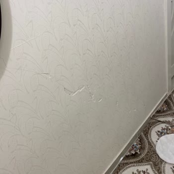 DASK'a Bakmaya Gelmediler