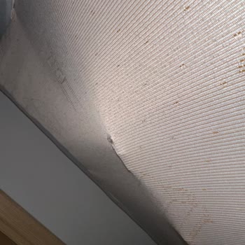 Bellona Loretto Marka Oturma Grubunda Oluşan Sorunlar