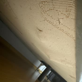 Bellona Loretto Marka Oturma Grubunda Oluşan Sorunlar