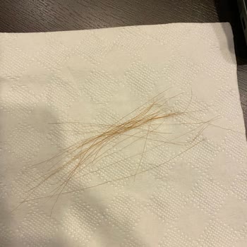 Asya Kuaför Fön Çekerken Saçım Yandı