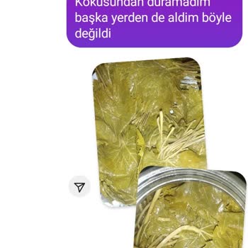 Organiksalamurayaprak (Instagram) Videolarda Gösterdikleri Ürünlerle Alakası Yok