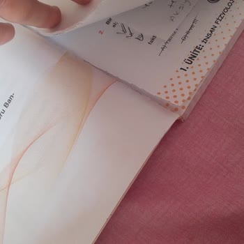 Biyotik Yayınları İlgisizlik Ve Matbaa Hatası Sonrası Kitabın Yok Olusu Adli Eser