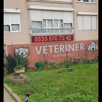 Dostlar Veteriner Kliniği Güvenmek Ve Mağduriyet