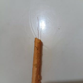 Eti Crax Çubuğunun İçinde Tel Çıktı