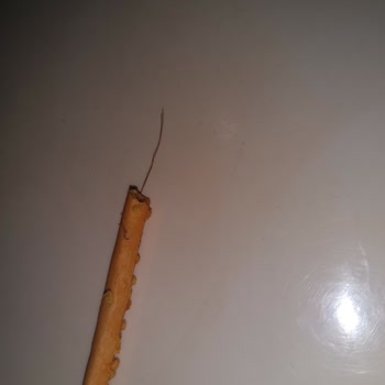 Eti Crax Çubuğunun İçinde Tel Çıktı