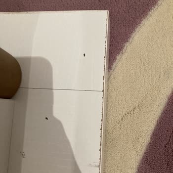 Vivense'nin Darbe Almış Masası