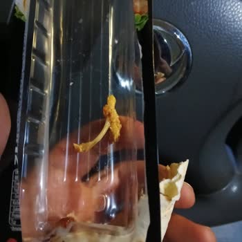 Aytaç Gıda Markalı Tavuk Dürümünde Kemik Şikayeti