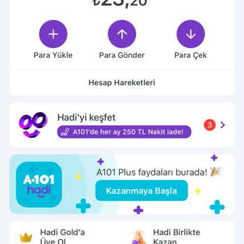 A101 Hadi Para Gelmedi