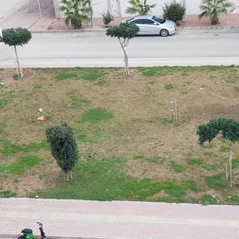 Antalya Konyaaltı Belediyesi Sokak Ve Park Temizliği