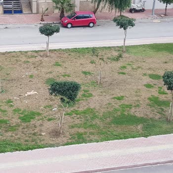 Antalya Konyaaltı Belediyesi Sokak Ve Park Temizliği