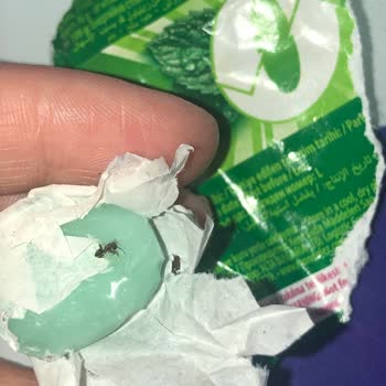 Olips Şekerden Böcek Çıktı