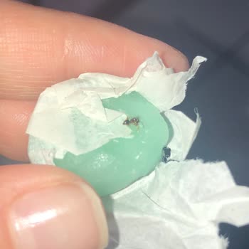 Olips Şekerden Böcek Çıktı