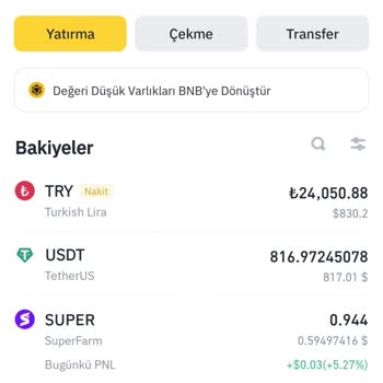 Binance USDT İznim Olmadan TRY'ye Çevrilmiş Satış Sırasında