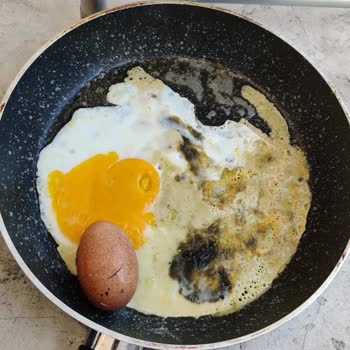 Sok Marketten Alınan Bozuk Gordo Yumurta