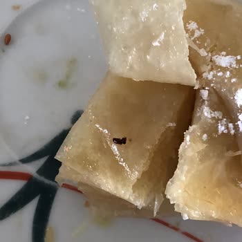 A101 Levent Börek Markalı Böreğin İçinden Böcek Çıktı!