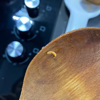 Reis Marka Bulgur Kurtlu Çıktı
