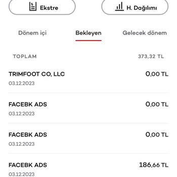 Facebook Ads Kartımdan Habersiz Para Çekti