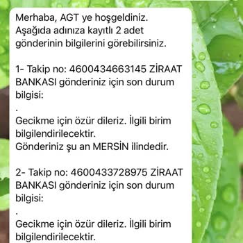 AGT Kurye (aynigunteslim.com) AGT Den Gönderiniz Gelmez Sadece Mağduriyet Gelir