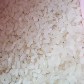 Tarım Kredi Kooperatif Market. Kırşehir Merkez Yenice Mahallesi 6803